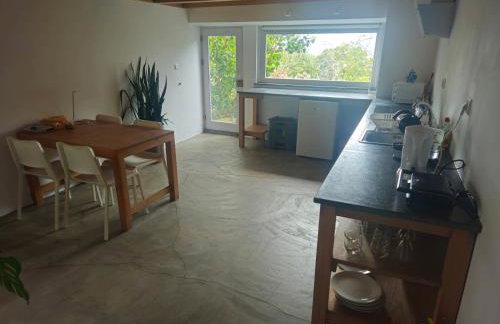 T1 com Vista Mar em Sao Roque do Pico Residências Requinte - Foto 9