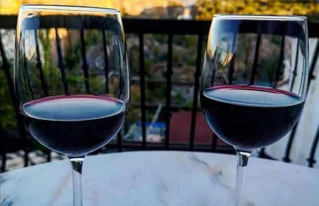 La Seguiriya - Foto 32