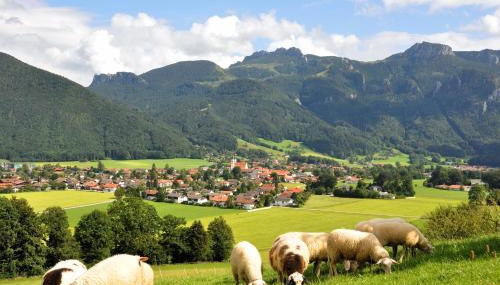 Ferienwohnung Schuster am Fellerer - Foto 2