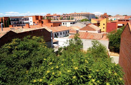 Apartamentos Cinco Rosas - Photo 23