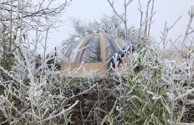 Les Nuits Insolites de Madine - Foto 40