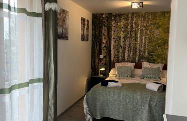 Très bel Appartement bleu - Foto 10