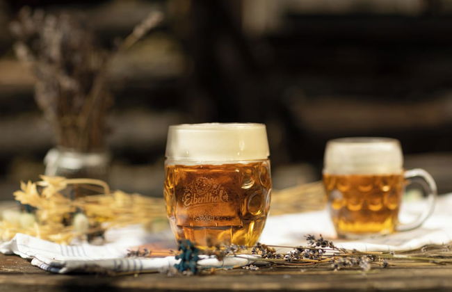 Apartments Eibenthal - Foto 13