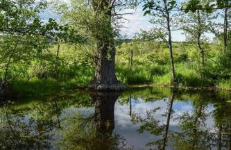 Gierszówka Smak&Relaks - Foto 48