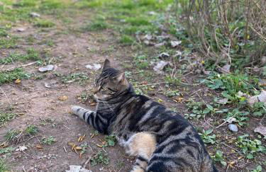 Wunderschönes Studio für bis zu 2 Personen - Foto 29