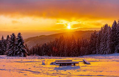 Apartment in Ilmenau 42915 - Foto 5