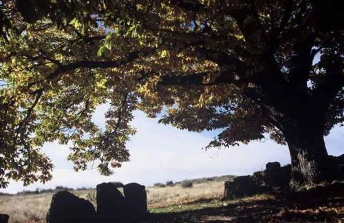 A Lagosta Perdida - Foto 25