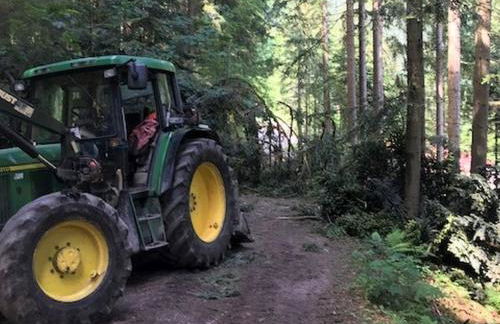 Waldbauernhof - Foto 14