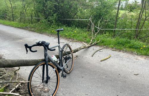 NEW Spacious House with large garden - Foto 65