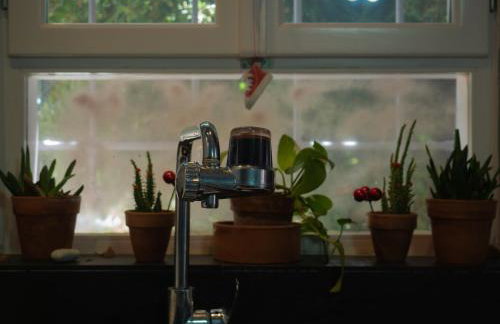 Olga's Cozy home - Photo 8