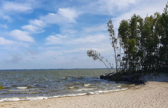 Luxusferienhaus in Fuhlendorf mit Sauna - Foto 36