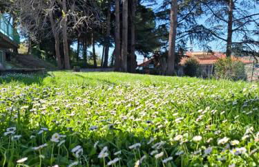 Le Mimose Garden - Photo 27