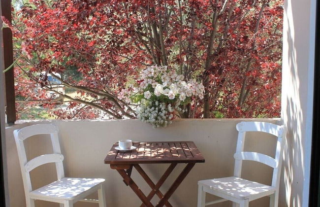 Vamos Fabrica Farm - Foto 50