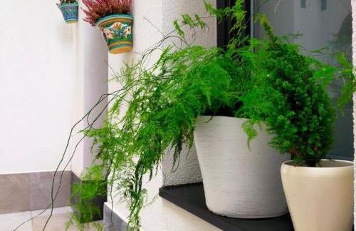 Alojamiento Beach Riazor - Foto 37