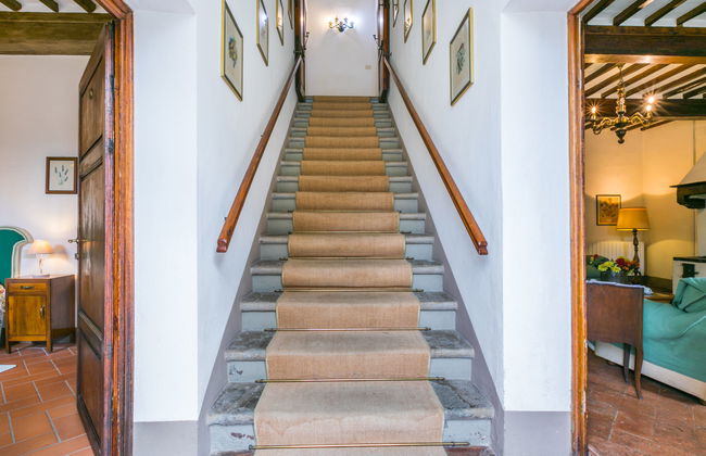 Fattoria di Scaletta - Foto 31