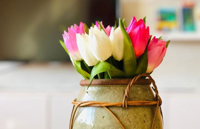 BayView Excursion Home - Foto 32