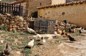 La casa del bosque - Foto 38