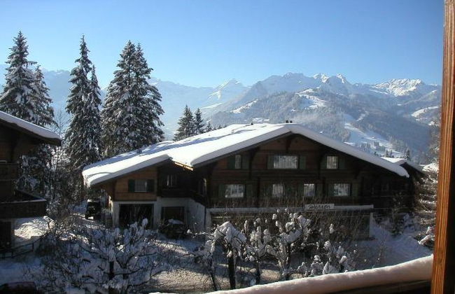 Arlette Nr. 30 - Foto 5