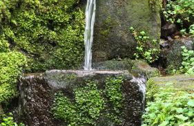 Appartement Herrlich - Foto 44