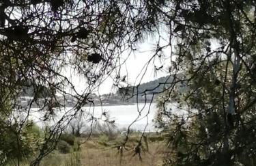 Le soleil d Eugènie appartement dans résidence avec Piscine commune près de Carcassonne - Foto 21