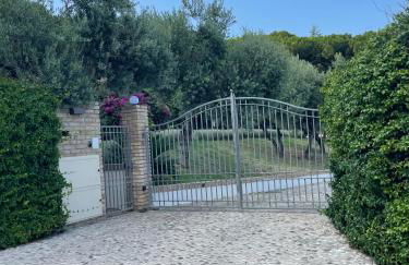 La BouganVillea - Foto 65