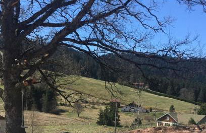 Cocon au cœur des Vosges - Foto 15