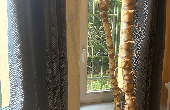 Cosy Apartment in Bad Harzburg With Garden - Foto 8