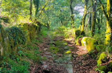 Casa da Rapadoira - Foto 52