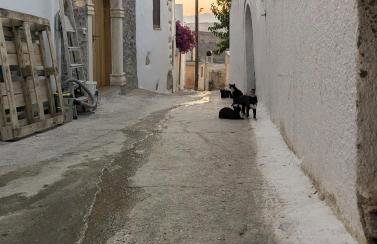 Blue White House - Foto 39