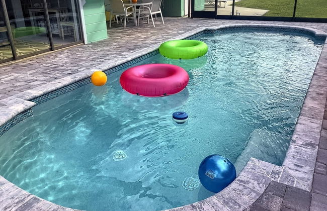 Happy Gecko - Foto 23