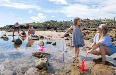 Martha's Inn Cresswell - Photo 24