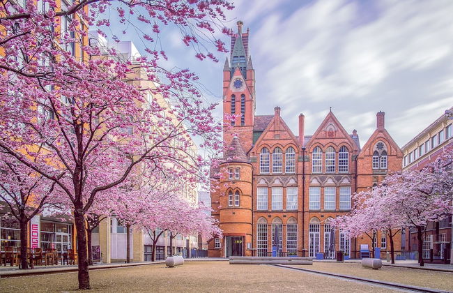 Tudors eSuites Birmingham Townhouse for Contractors - Foto 23