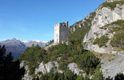 Casa Zebrusius - Zebrusius's App - Foto 55