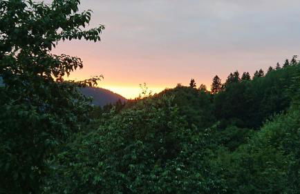 Ferienwohnungen Eismecke - Foto 15