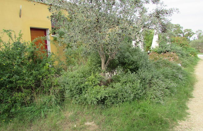 Cavalli di S'Arcaite - Foto 56