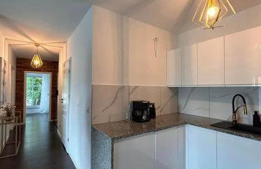 BoleslaviaApartments - Apartament Arte 4, parking free, EV - Foto 15