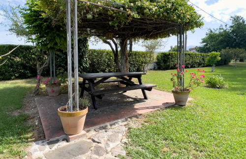 Agriturismo Terra Di Elea azienda agricola di Raimondo MIchela - Foto 66