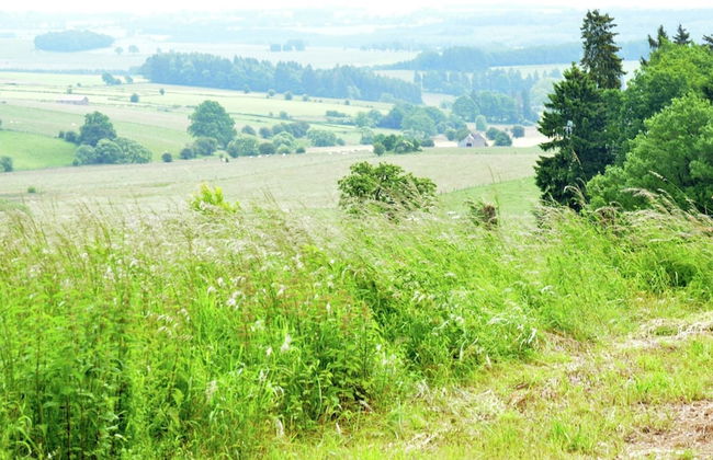 Cozy Farmhouse Near Houffalize - Photo 26