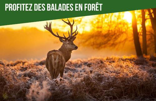 LeSaumurTranquille - Le Poitrineau - Foto 24