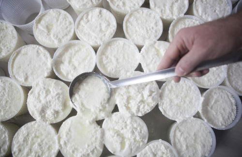 Fattoria Manostalla Villa Chiarelli - Foto 38