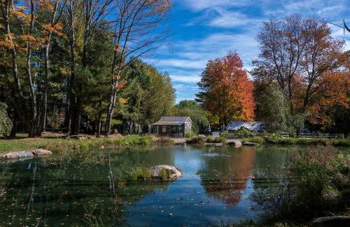 Gorgeous Fully Restored Caravan Nestled in the Trees Along Silver Lake for a Unique Vacation in Woodridge, New York - Foto 2