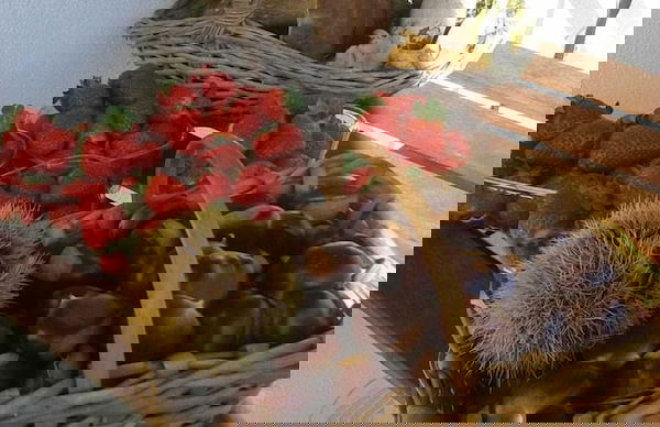 Ca D'Pandin - Foto 25