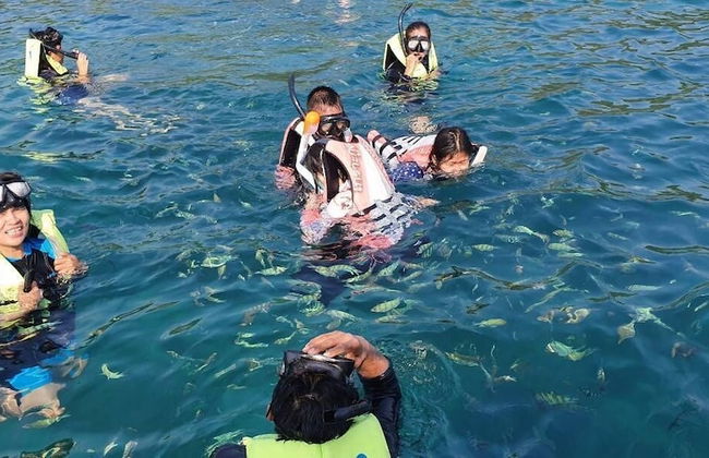 Kood Life - Photo 49