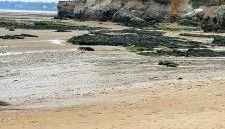 Appartement vue mer - Foto 5