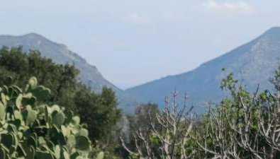 Traditional House in Velies - Foto 3