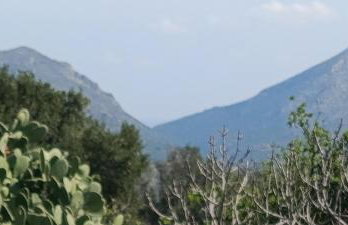 Traditional House in Velies - Foto 3