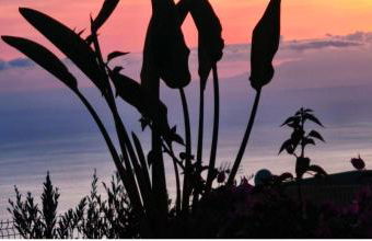 Villa con inmejorables vistas al oceano y la Gomera - Foto 42