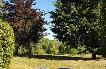 Ferienwohnung Kurparkblick - Foto 11