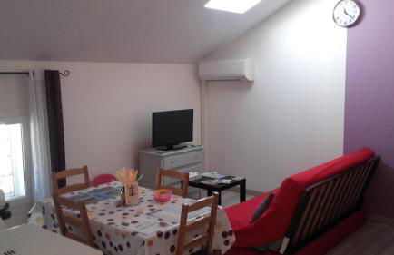 L'oiseau bleu - Foto 12