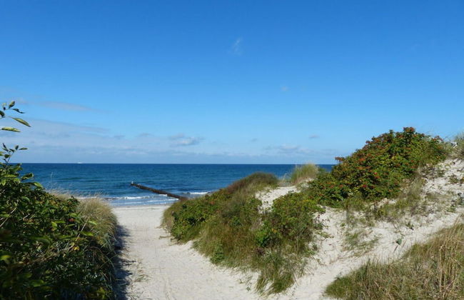 Apartment in Ostseebad Ahrenshoop - Foto 16